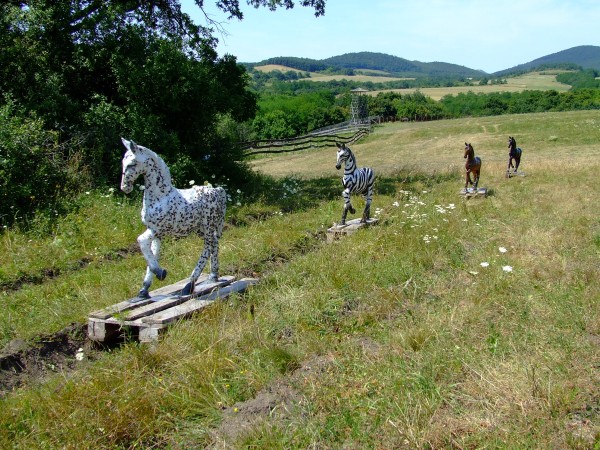 Cavalos de plástico usados no experimento