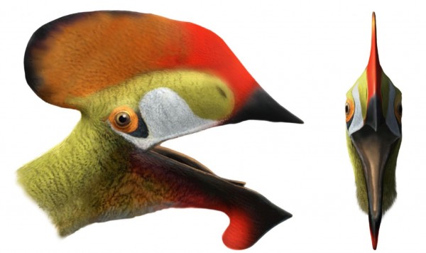 Reprodução de pterossauro