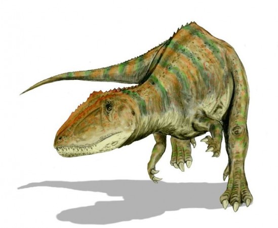 carcarodontossaurídeo
