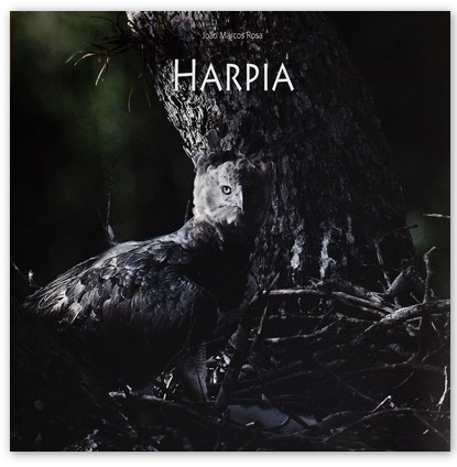 Capa do livro Harpia
