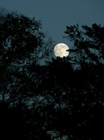 Nas noites de lua cheia, as sombras do saci, da mula-sem-cabeça ou do dragão de São Jorge assombram nossa imaginação (Foto: balaji shankar / Flickr / CC BY-NC 2.0)