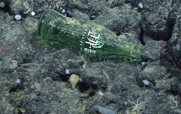 Garrafa de vidro encontrada no fundo do mar. A presença de lixo nesse ambiente perturba a vida marinha (Foto: © 2006 MBARI/NOAA)
