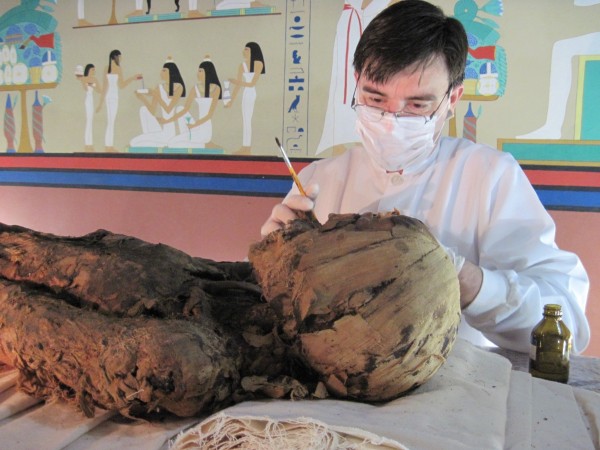 Arqueólogo restaura os ossos do rosto da múmia egípcia Tothmea (Foto: Liliane Cristina Coelho.)