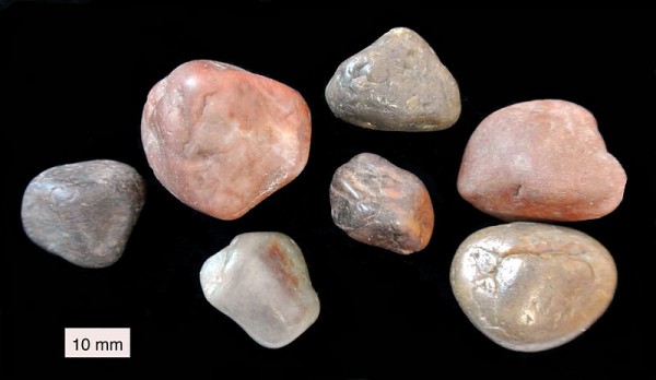 Os gastrólitos são pedras encontradas na moela e no estômago de animais que não mastigam os alimentos. Veja como têm formas e tamanhos variados (Foto: Wilson44691 / Wikimedia Commons / <a href='http://creativecommons.org/licenses/by-sa/3.0/deed.pt'>CC BY-SA 3.0</a>)