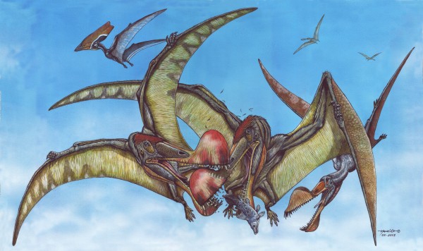 Há 110 milhões de anos, o <i>Tropheognathus mesembrinus</i> voava pelos céus do Brasil. A descoberta mostrou que os pterossauros habitaram a Terra muito antes do que se pensava (Ilustração: Maurílio Oliveira/ Museu Nacional/UFRJ)