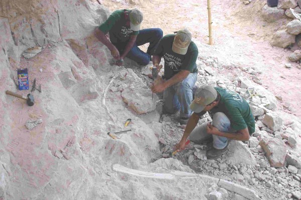 Sucesso garantido! Veja esta escavação paleontológica: as rochas tiveram origem no leito de antigos rios temporários e caudalosos, em que se acumularam os ossos de grandes dinossauros (Foto: Luiz Carlos Borges Ribeiro)