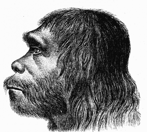 O homem de Neandertal viveu na Europa e na Ásia provavelmente entre 300 mil e 30 mil anos atrás. Acredita-se que o <i>Homo neanderthalensis</i> tenha convivido, em algum momento, com o <i>Homo sapiens</i> – nossa própria espécie (Imagem: Hermann Schaaffhausen/Wikimedia Commons)