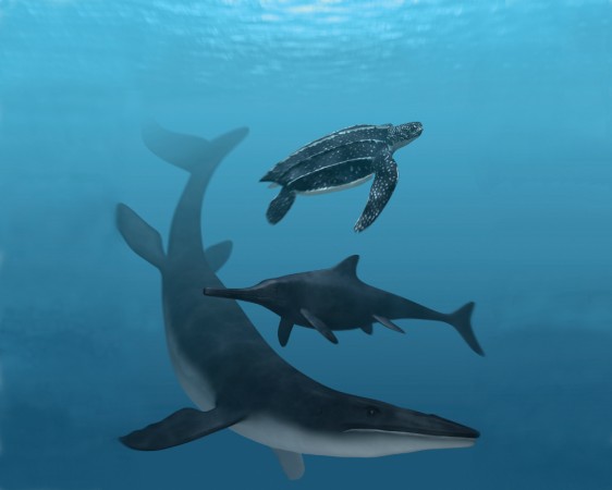 Cientistas suecos conseguiram identificar a cor de répteis marinhos pré-históricos. A tartaruga-de-couro (no alto) e o mosassauro (abaixo) apresentam uma parte escura e outra clara, enquanto o ictiossauro (no centro) é uniformemente escuro (Ilustração: Stefan Sølberg) 