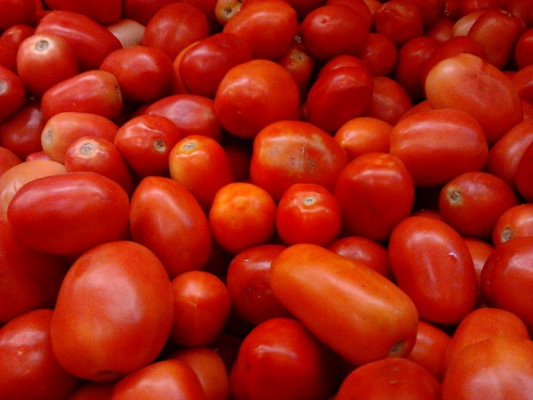 Já reparou que, quanto mais vermelhinhos, mais gostosos são os tomates? O responsável por isso é o sabor umami, que fica mais intenso quando o tomate está maduro (Foto: Wikimedia Commons / Aravind Sivaraj / CC BY-SA 3.0)