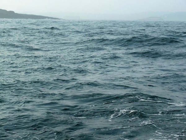 Sob a água salgada dos oceanos existem bolsões de água doce. No entanto, ainda não sabemos se será possível (e seguro) usar essa água. (foto: Flickr / mwms1916 / <a href= http://creativecommons.org/licenses/by-nc-nd/2.0/deed.pt>CC BY-NC-ND 2.0</a>)