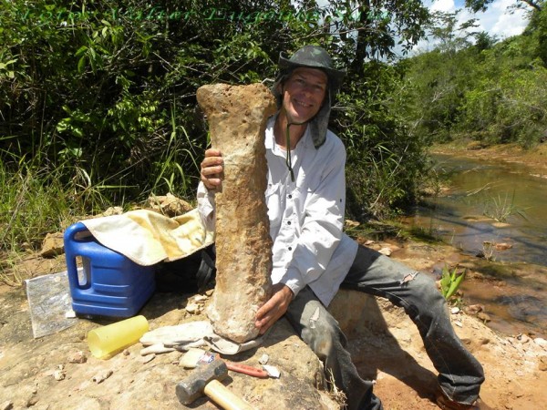 O paleontólogo William Nava segura o osso de titanossauro descoberto em Álvaro de Carvalho (SP).
