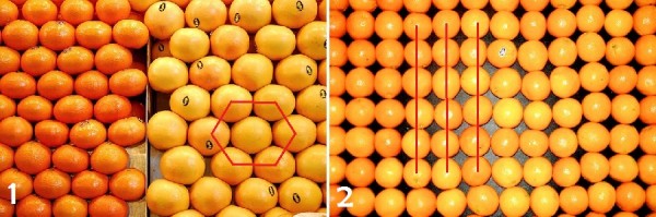 A primeira camada de laranjas pode ser montada em uma estrutura hexagonal (foto 1) ou em linhas paralelas (foto 2). As duas formas de organizar as frutas geram estruturas diferentes, e cada uma delas possui correlatos na organização dos átomos na natureza. (fotos: adaptado de Flickr / chriscom e Mattie B / <a href=http://creativecommons.org/licenses/by-sa/2.0/deed.pt>CC BY-SA 2.0</a>)