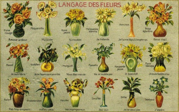 Os primeiros exemplares dos dicionários de flores foram lançados na França, no início do século 19. (foto: reprodução)