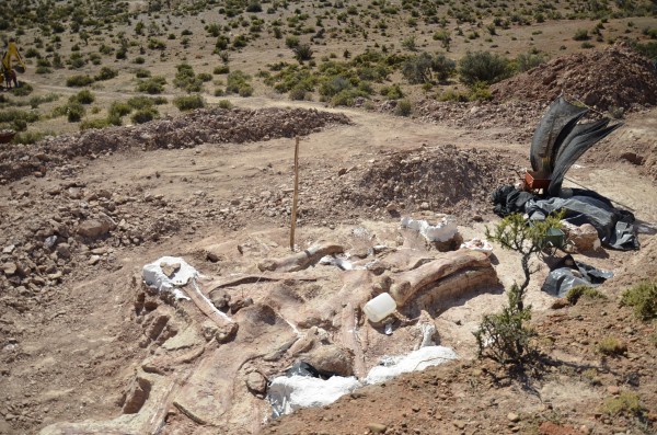Local onde foi encontrado o novo dinossauro gigante. (foto: Divulgação/Museu Paleontológico Egidio Feruglio)