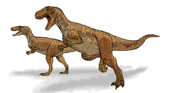 Primeiro dinossauro registrado cientificamente, o megalossauro foi descrito por William Buckland na Inglaterra em 1824. (imagem: Domínio Público)