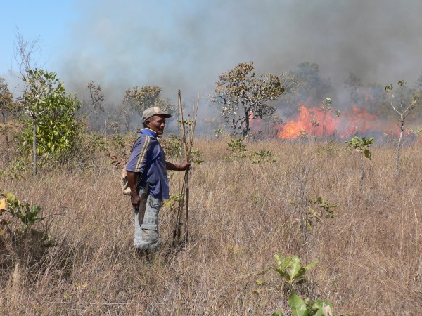 Índio coloca fogo na vegetação para espantar animais. (foto: James R. Welch)