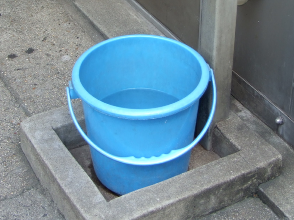 Será que o balde giratório anula a força da gravidade que age sobre a água? (foto: Domínio Público)