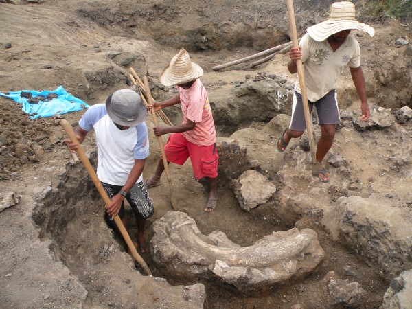 Dedicação, esforço e muito empenho são garantias de que algo há de ser aproveitado ao final de uma escavação paleontológica. (foto: Ismar Carvalho)