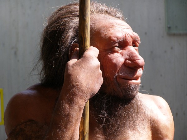 Esta é uma representação do Homem de Neandertal, com seu nariz avantajado e rosto protuberante. (foto: Erich Ferdinand / Flickr / <a href=http://creativecommons.org/licenses/by/2.0/br/> CC BY 2.0</a>)