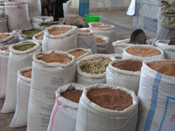 A presença de minhocas no solo chega a aumentar a produção de grãos em até 25%. (foto: Arthur Chapman / Flickr / <a href=https://creativecommons.org/licenses/by-nc-sa/2.0/> CC BY-NC-SA 2.0 </a>