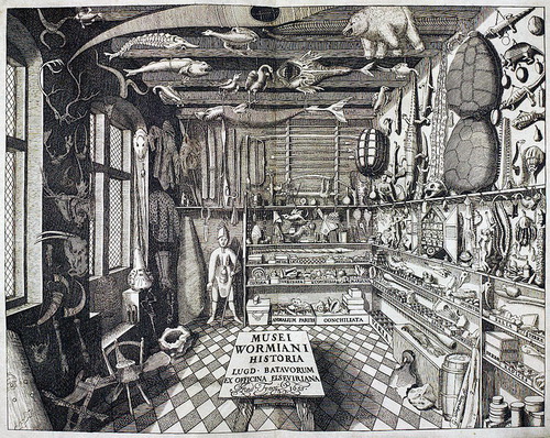 Ilustração de 1655 mostrando um gabinete de curiosidades, onde eram apresentados ao público itens de muitas regiões do mundo. Com o tempo, os gabinetes foram desaparecendo e dando lugar aos museus de história natural, inicialmente na Europa. (ilustração: Museum Wormianum / Wikipedia / Domínio Público)