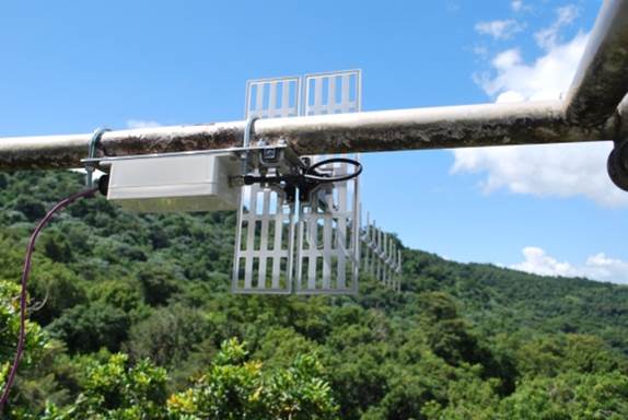 Microfone instalado nas florestas de Porto Rico, onde cientistas fazem o monitoramento acústico dos ecossistemas (foto: Divulgação)