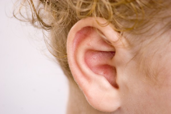 Nossas orelhas ficam vermelhas quando entramos em contato com algumas emoções, que levam ao aumento da circulação de sangue na região. (foto: Shai Barzilay / Flickr / <a href= http://creativecommons.org/licenses/by-nc/2.0/br/>CC BY-NC 2.0</a>)