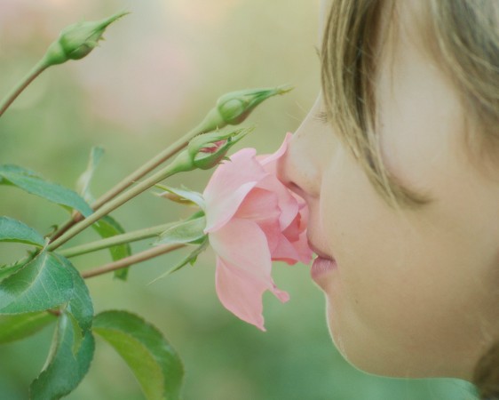 Você sabia que as meninas têm mais facilidade para identificar aromas do que os meninos? (imagem: Joe Penniston / Flickr / <a href= http://creativecommons.org/licenses/by-nc-nd/2.0/br/ >CC BY-NC-ND 2.0</a>).