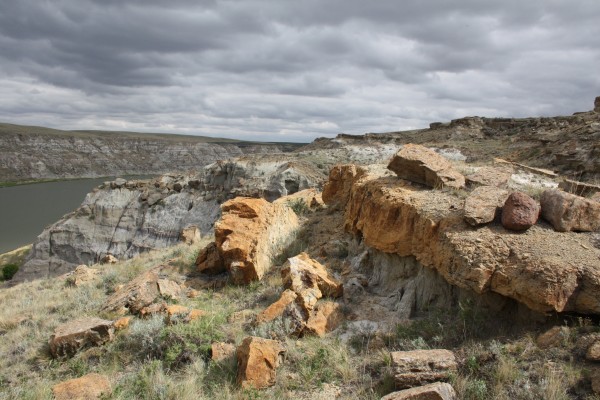 Os fósseis do dinossauro chifrudo foram encontrados em Alberta, uma província do Canadá. (foto: Nicholas Longrich)