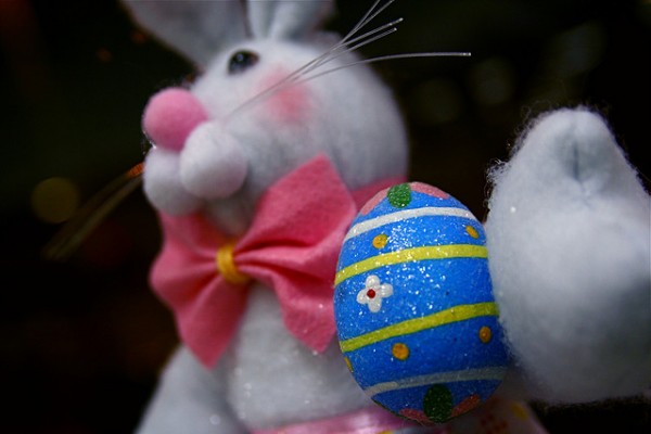 Mas, afinal, que fim levou o coelho? Como os ovos fósseis, ele ficou escondido por muito e muito tempo. (foto: Steven Depolo / Flickr / <a href=https://creativecommons.org/licenses/by/2.0>CC BY 2.0</a>)