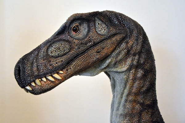 Reconstituição do <i>Herrerasaurus ischigualastensis</i>, dinossauro carnívoro que viveu na Argentina há 231 milhões de anos, no período Triássico.