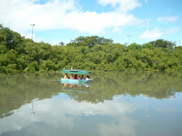 Na Semana do Meio Ambiente, o visitante vai poder realizar um passeio de barco pelo lago e conhecer melhor o manguezal que está dentro do Espaço Ciência. Se você não puder participar, não desanime: a atividade acontece também ao longo do ano. (foto: Divulgação / Espaço Ciência)