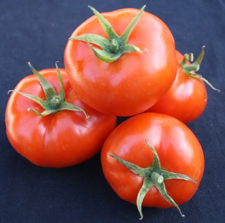 Apesar de serem popularmente chamados de legumes, os tomates são cientificamente classificados como frutos, pois carregam as sementes da planta de onde brotam. (foto: Marcelo Guerra Santos)