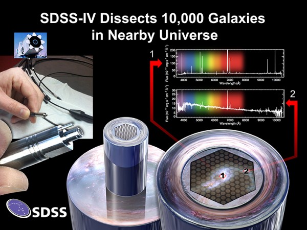 Detector Manga com seu conjunto de fibras que será encaminhado para o espectrógrafo, instrumento dispersor de luz. (imagem: Dana Berry / SkyWorks Digital Inc., David Law e the SDSS collaboration)