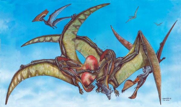 Nos céus, as grandes estrelas eram os pterossauros, que foram os primeiros animais a desenvolver o voo ativo. (ilustração: Maurílio Oliveira/ Museu Nacional-UFRJ)
