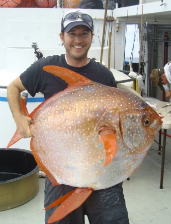 Pesquisador segura um opah recém-capturado para a medição de temperatura. (foto: NOAA Fisheries, Southwest Fisheries Science Center)