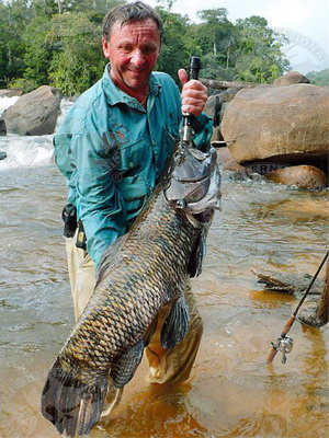 Pescadores profissionais do mundo todo visitam a Amazônia na tentativa de encontrar a maior espécie de traíra, o trairão-aimará. Na pesca esportiva, depois de capturar o peixe e fotografá-lo, o pescador o devolve à natureza. (foto: <a href=https://www.fishing-worldrecords.com>Fishing World Records</a> / CC-BY-NC 3.0)