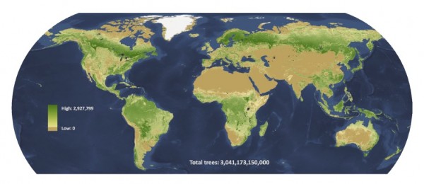 Mapa da densidade de árvores ao redor do globo. As áreas em verde indicam regiões em que as florestas são mais densas. (imagem: Crowther <i>et al</i> / <i>Nature</i>)