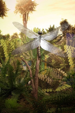 A <i>Meganeura</i> foi um dos maiores insetos que já existiram. A envergadura de suas asas podia chegar a 80 centímetros e acredita-se que seu grande tamanho ocorreu devido à abundância de oxigênio na Terra há 300 milhões de anos. (foto: andytang20 / Flickr / <a href=http://creativecommons.org/licenses/by/2.5>CC BY 2.5</a>)