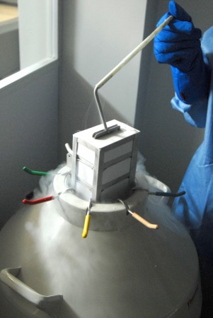 O nitrogênio líquido é usado na conservação de diferentes materiais que precisam ser armazenados em temperaturas muito baixas. (foto: Rodrigo Méxas / Fiocruz Imagens)