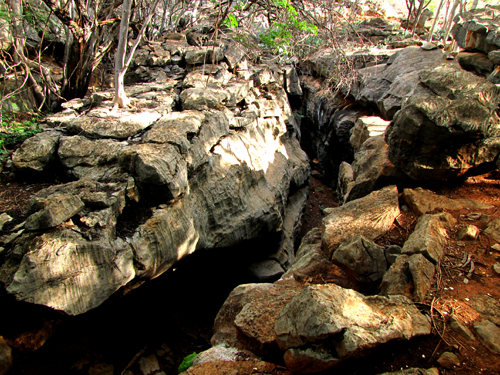 Este é o tipo de ambiente onde os mocós vivem, chamado de afloramento rochoso. Os mocós se escondem em frestas de rochas e se alimentam principalmente de folhas e raízes. (foto: Henrique Caldeira Costa)