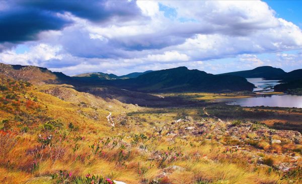 Os campos rupestres são formações típicas de regiões montanhosas e possuem grande diversidade de plantas e animais. (foto: Mariano Vale / Flickr /  CC BY-SA 2.0)