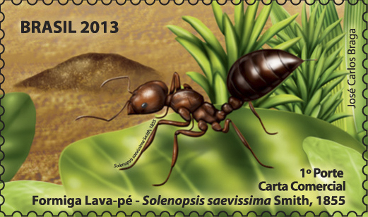 Uma das espécies de lava-pés nativas do Brasil fez parte de uma série de selos especiais dos Correios em 2013. (foto: Reprodução)