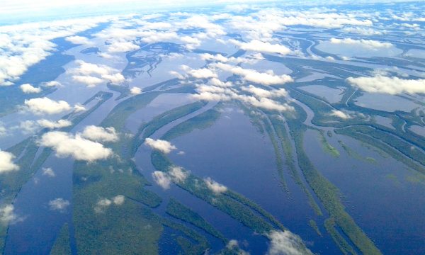 Mais de 400 ilhas formam o arquipélago de Anavilhanas. Um verdadeiro labirinto em pleno rio Negro, no meio da Amazônia. (foto: Guilherme Vizaco/ Wikimedia –CC BY-SA 4.0)