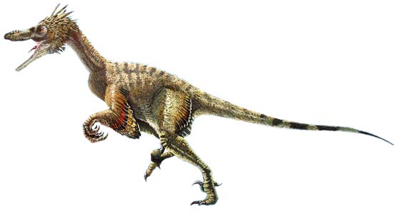 Um dinossauro com penas já havia sido descoberto no Brasil. (desenho: Pepi)