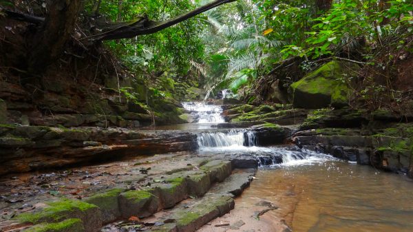 Algumas regiões montanhosas do nordeste brasileiro são chamadas de brejos-de-altitude, pois são úmidas e ricas em fontes de água, como o Parque Nacional de Ubajara. (foto: Felipe Camurugi)