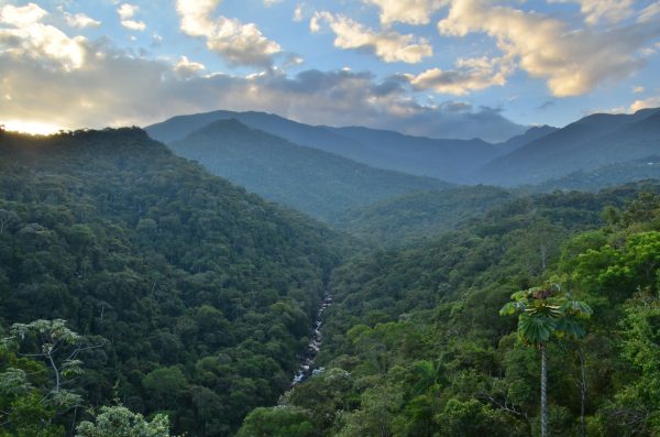 Criado há 80 anos, o Parque Nacional de Itatiaia foi a primeira área de preservação ambiental do Brasil. Ele faz parte do complexo de montanhas da Serra da Mantiqueira, onde riachos recortam as florestas tropicais formando paisagens belíssimas. (foto: Ferreiraandreza/ Wikimedia – CC BY-SA 3.0)