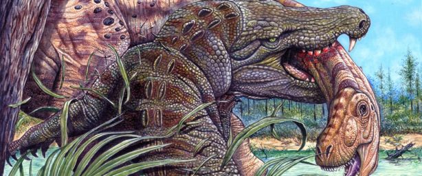 'Stratiotosuchus maxhechti'
