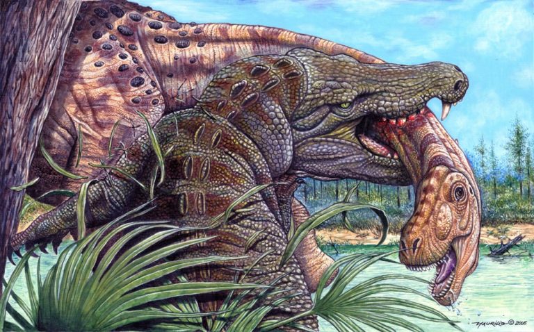 'Stratiotosuchus maxhechti'