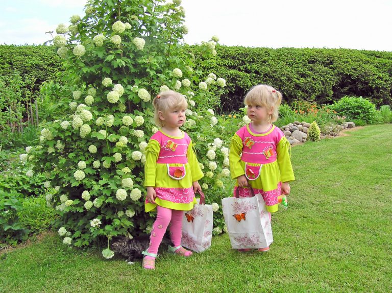 Meninas gêmeas no jardim